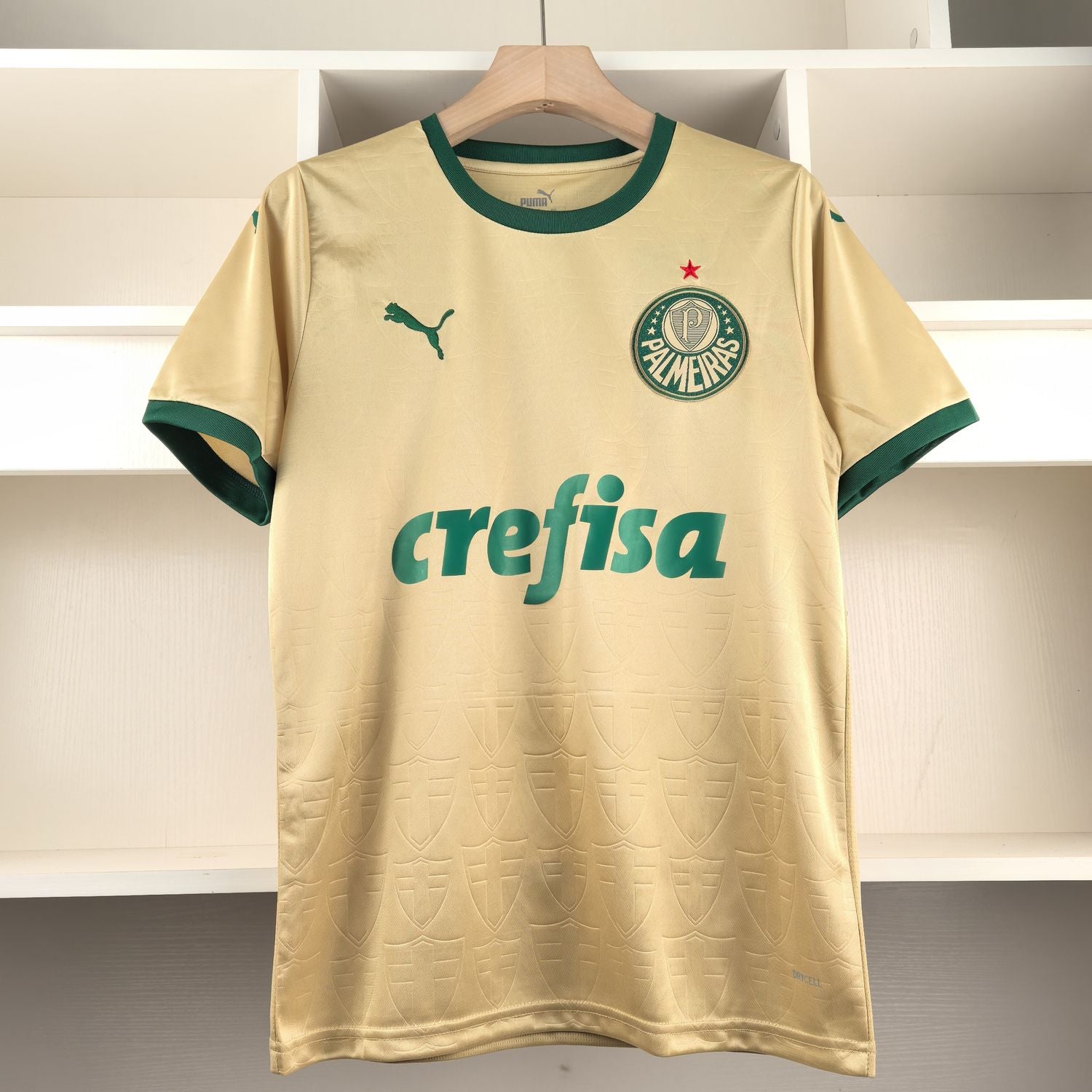 Jersey 24∕25 Palmeiras Third