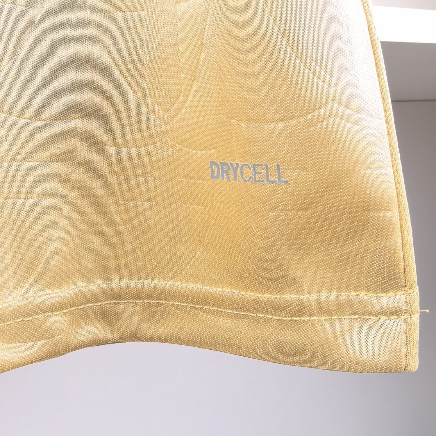 Jersey 24∕25 Palmeiras Third