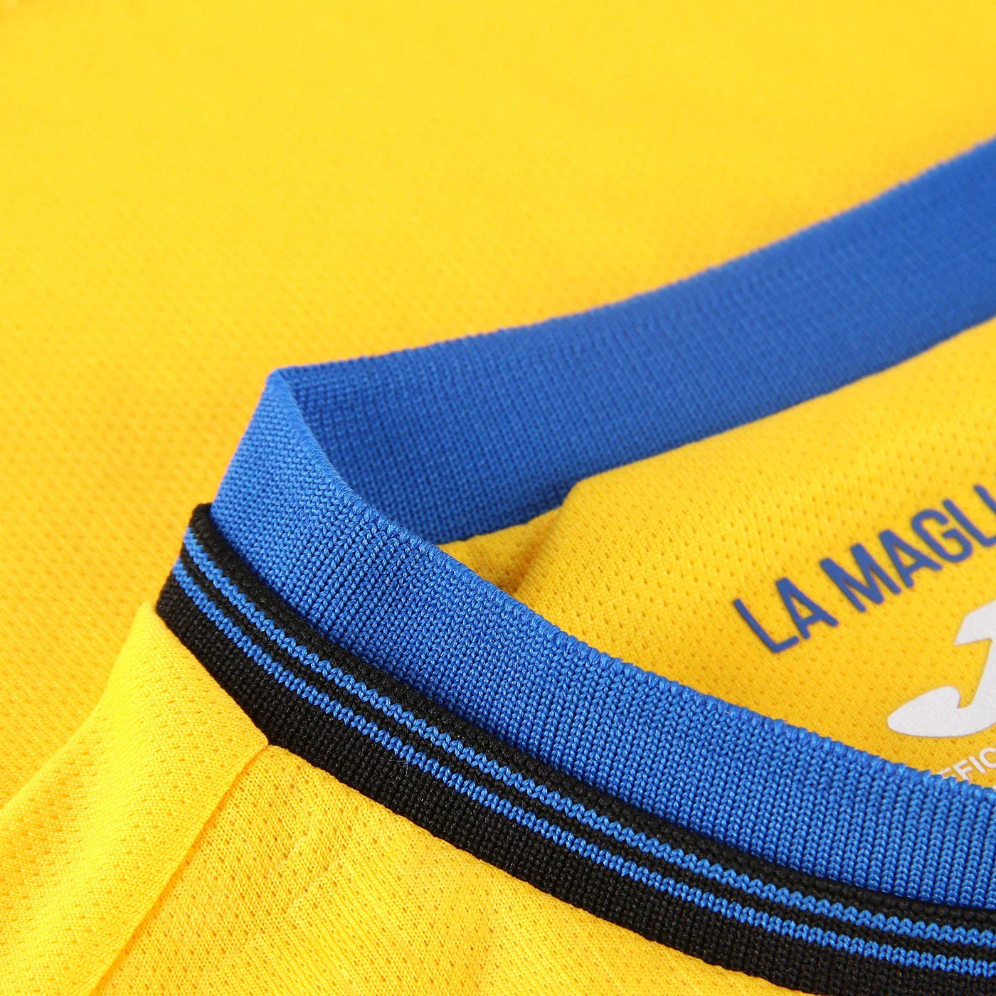 Jersey Atalanta 24/25 Third