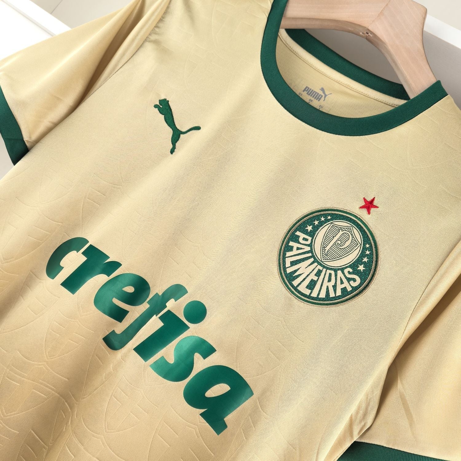 Jersey 24∕25 Palmeiras Third