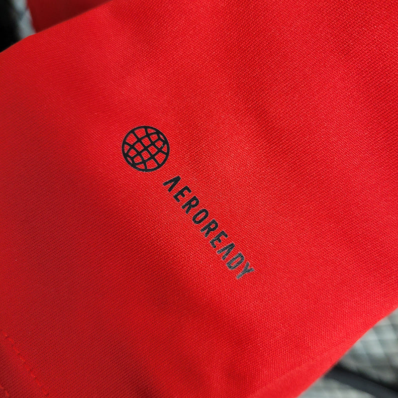 Jersey 23∕24 Flamengo Treino - Feminino - Vermelho