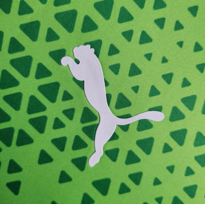 Jersey 24∕25 Palmeiras Treino